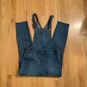 Madewell Skinny Overalls in Groveland wash
